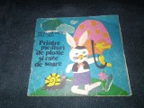 MAGDALENA IANCU - PRINTRE PICATURI DE PLOAIE SI RAZE DE SOARE