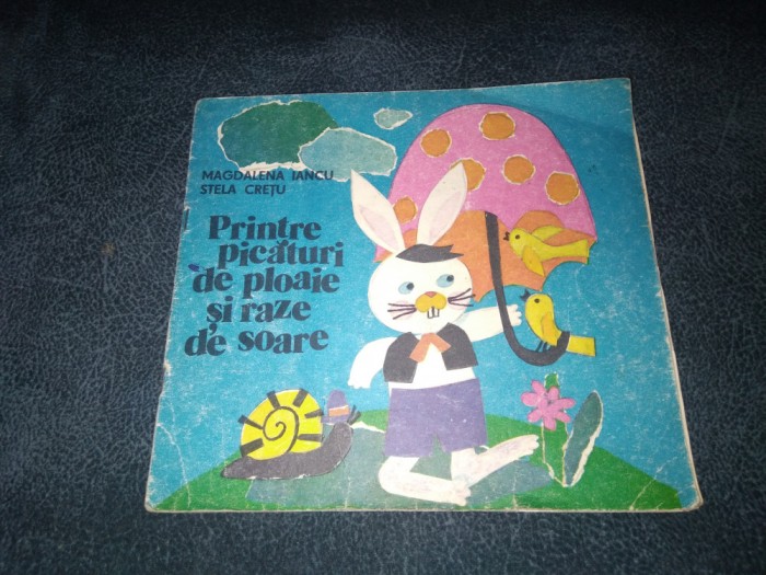 MAGDALENA IANCU - PRINTRE PICATURI DE PLOAIE SI RAZE DE SOARE