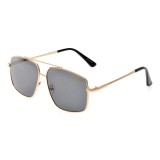 Ochelari de soare ALDO aurii, FRELINNOR 710, din metal