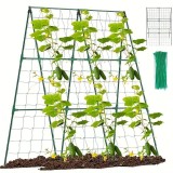 Ansamblu suport araci cu plasa pentru crestere castraveti, fasole, mazare, 150x150x1.1 cm