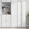 VidaXL Dulap &icirc;nalt, alb, 45x42,5x185 cm, lemn compozit 3281406