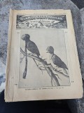 Ziarul Științelor și al Călătoriilor nr.45/1913