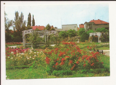 Carte Postala veche - Timisoara, parcul rozelor , Circulata 1984 foto