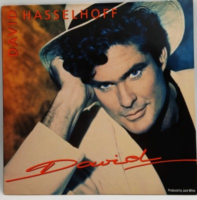 David Hasselhoff - David NM / NM vinil LP disc pop rock White Germania 1991 foto