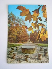 QW27 T - Carte postala - tematica turism - vedere - Romania - Targu Jiu 3