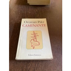 Octavian Paler - Caminante