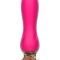 Vibrator Pleasure Roz
