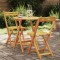Gossi set bistro 3 piese pliabil lemn solid acacia
