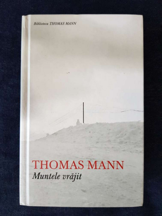 Muntele vrajit &ndash; Thomas Mann