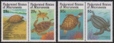 MICRONESIA - 1991 - BROASCA TESTOASA, Fauna, Nestampilat
