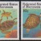 MICRONESIA - 1991 - BROASCA TESTOASA