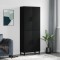 Gossi dulap inalt, negru, 69,5x34x180 cm, lemn compozit