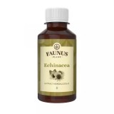 TINCTURA ECHINACEA 200ML, Faunus Plant