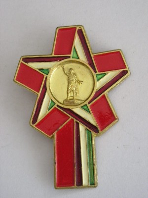 QW9 N8 6 - insigna - tematica simbolisitca - orator roman foto