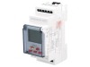 Regulator NTC de Temperatură cu Releu SPDT -20&divide;60&deg;C RTM-20