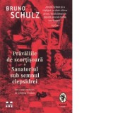 Pravaliile de scortisoara. Sanatoriul sub semnul clepsidrei - BRUNO SCHULZ, Cristina Godun
