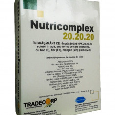 Ingrasamant Nutricomplex 20-20-20 500 gr