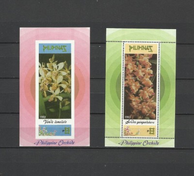 FILIPINE 1993 FLORI ORHIDEE foto
