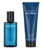 Set Davidoff: Cool Water, Eau De Toilette, For Men, 40 ml + Cool Water, Shower Gel, 75 ml