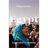 Egypt: Contested Revolution by Philip Marfleet
