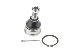 Rotula brat suspensie Nissan Primera P12 2001-, Maxima A33 2000-2006, Almera Tino 1998-, Fata, Inferior, NTY ZSD-NS-025