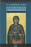 Sfintele Crestinismului. Dictionar - P. S. Gherasim Timus