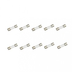 Set 10 sigurante temporizate 3,15A-T 5X20mm