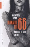 Alexandra Furnea - Jurnalul lui 66. Noaptea in care am ars