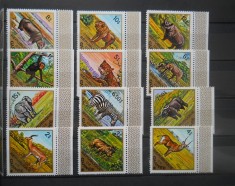 CV1 SERIE GUINEA FAUNA