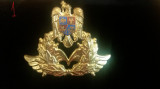 M3 C16 - Emblema militara - Aviatie