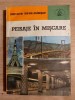 Peisaje in miscare- Constantin Chifane-Dragusani