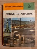 Peisaje in miscare- Constantin Chifane-Dragusani