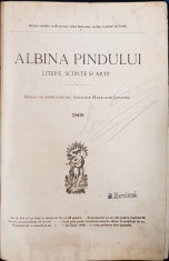 ALBINA PINDULUI, LITERE, SCIINTE SI ARTE, ANUL 1 - 1868 foto