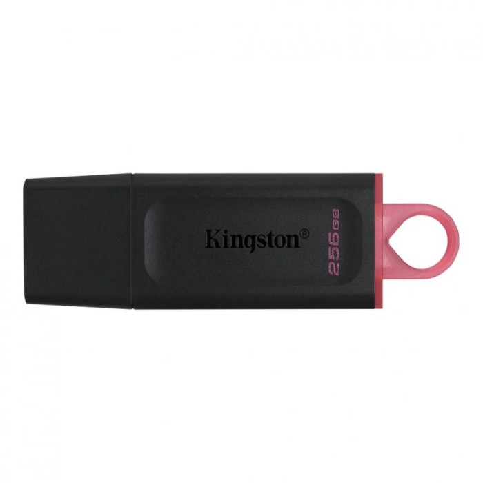 Memorie USB Flash Drive Kingston 256GB Data Traveler Exodia, USB