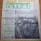 fotbal 27 octombrie 1966-dinamo pitesti-fc toulouse 5-1,staugul rosu-rapid