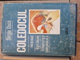 Coledocul vintage, 1965