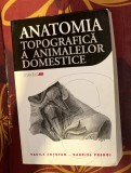 Vasile Cotofan, Gabriel Predoi - Anatomia topografica a animalelor domestice