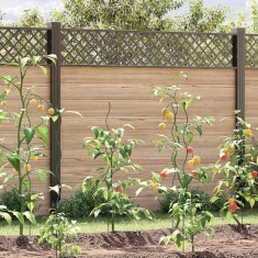 vidaXL Suporturi spiralate pentru plante 5 pcs Verde 110 cm