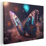 Tablou fantezie fluture detaliu albastru maro 1669 Tablou canvas pe panza CU RAMA 60x90 cm