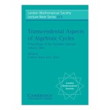 Transcendental Aspects of Algebraic Cycles