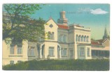 2941 - JIMBOLIA, Timis, Castle, Romania - old postcard - unused - 1924, Necirculata, Printata