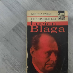 Pe urmele lui Lucian Blaga de Mircea Vaida