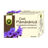 Ceai de Plamanarica 20gr Hypericum, Hypericum Plant