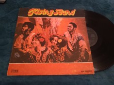 DISC VINIL RISING SOUND 1977 RARITATE!!!EDE 01499 DISC STARE FOARTE BUNA