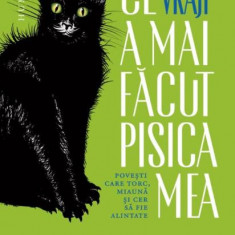 Ce vraji a mai facut pisica mea. Povesti care torc, miauna si cer sa fie alintate. Volum coordonat de Radu Paraschivescu