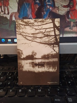 Mogoșoaia Mogoșoaea Ilfov, Lacul din parc, circa 1925, 205 foto