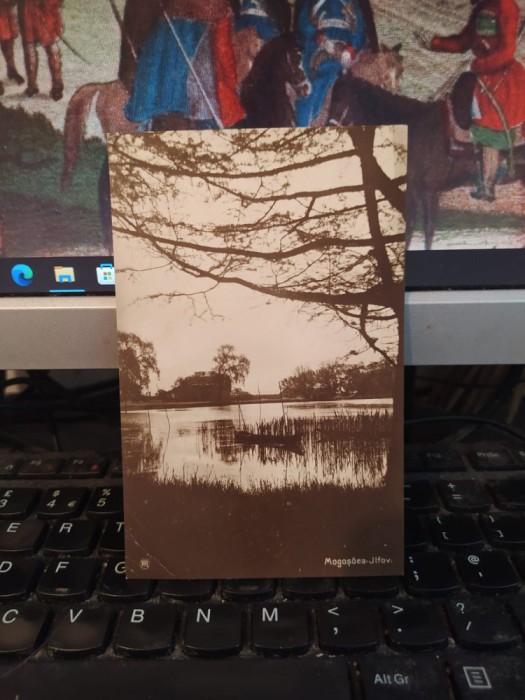 Mogoșoaia Mogoșoaea Ilfov, Lacul din parc, circa 1925, 205