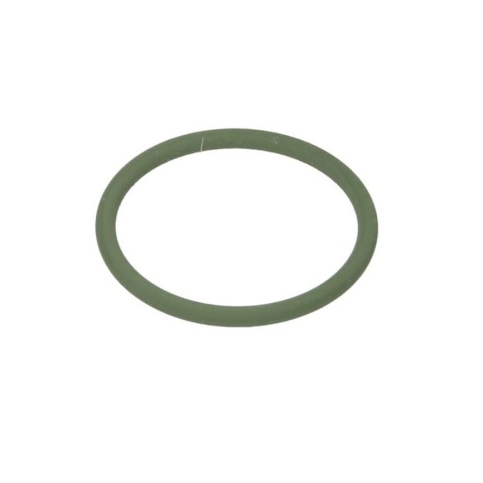 O-ring Diesel Technic