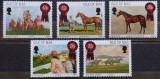 BC374, Isle of Man 2001, serie cai, echitatie