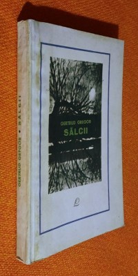 Salcii, Riul/Raul- Gertrud Gregor foto